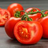 Tomaten am Strauch