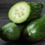 Salatgurke Wulksfelde