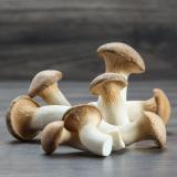 Pilze Kräuterseitlinge regional