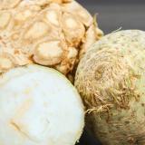 Sellerieknolle regional