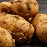 Frühkartoffeln 1kg Wulksfelde