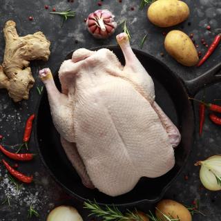 Ente  groß ca. 4 kg