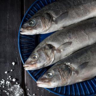 Wolfsbarsch ganz, küchenfertig ca. 400 g - nur 02.11.-07.11.