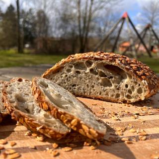 Monatsbrot Mai Hirtenkruste