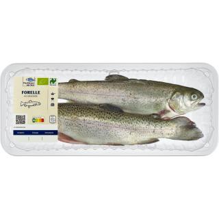 VB Regenbogenforelle, küchenfertig ca. 300 g - nur 21.12. - 23.12.