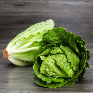 Salat Römer Wulksfelde