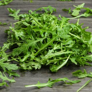 Bund Rucola Wulksfelde