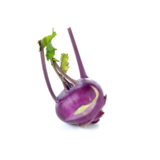 Kohlrabi blau mit Blatt regional