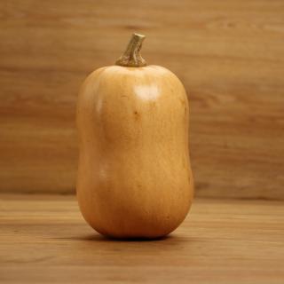 Kürbis Butternut