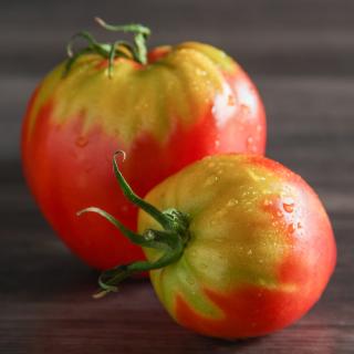 Tomaten Ochsenherzen Wulksfelde