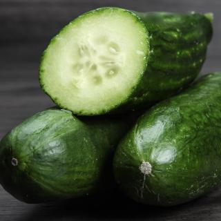 Salatgurke Wulksfelde