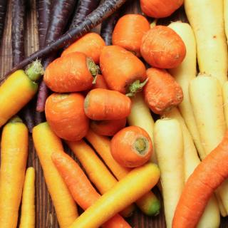 Möhren bunter Mix