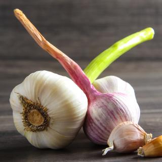 Knoblauch frisch