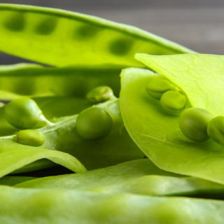 Zuckerschoten 200 g Schale Wulksfelde