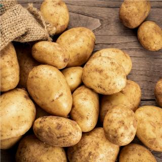 Kartoffeln fk Belana 5 kg
