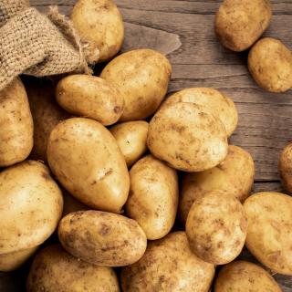 Kartoffeln fk Allianz 1,5 kg