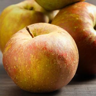 Äpfel Holsteiner Cox regional