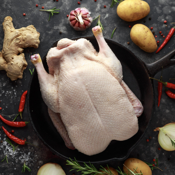 Ente  groß ca. 4 kg