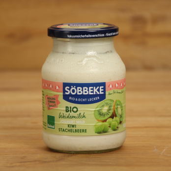 Joghurt Kiwi-Stachelbeere 3,8%