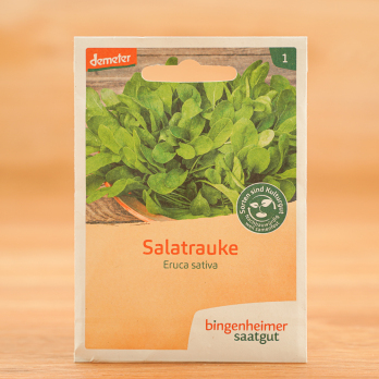 Saatgut Salatrauke