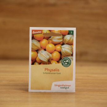 Saatgut Physalis Schönbrunner Gold