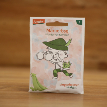 Saatgut Erbse, Wunder von Kelvedon