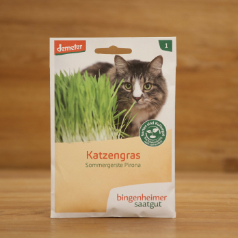 Saatgut Katzengras