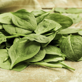 Babyspinat gepackt 125g