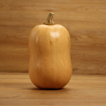 Kürbis Butternut
