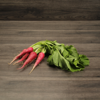 Rettich rot im Bund Wulksfelde