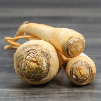 Petersilienwurzel regional