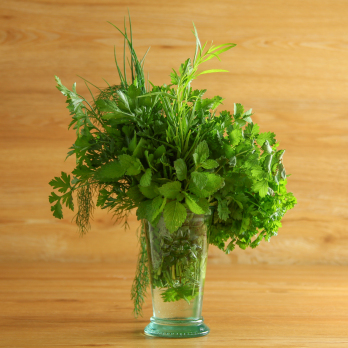 Grüne Sauce Kräuter ca.100 g regional