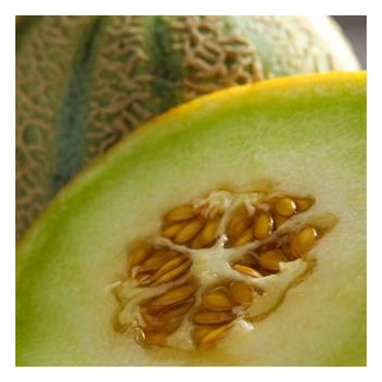 Honigmelone Galia ca 800g