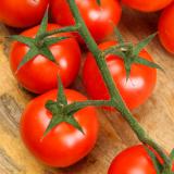 Tomaten Cherrystrauch rot Honeydrop