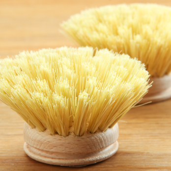 Ersatz-Spülbürstenkopf