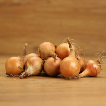 Tüte Mini-Zwiebeln 250g Wulksfelde