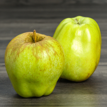 Äpfel Collina