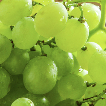 Weintrauben hell kernlos 250g