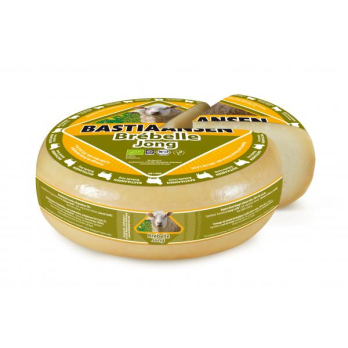 Brébelle Schafgouda jung 50%